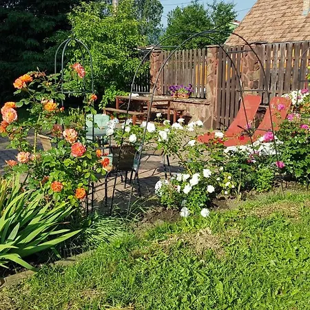Lend Apartman In The Garden Miercurea Ciuc Exterior photo