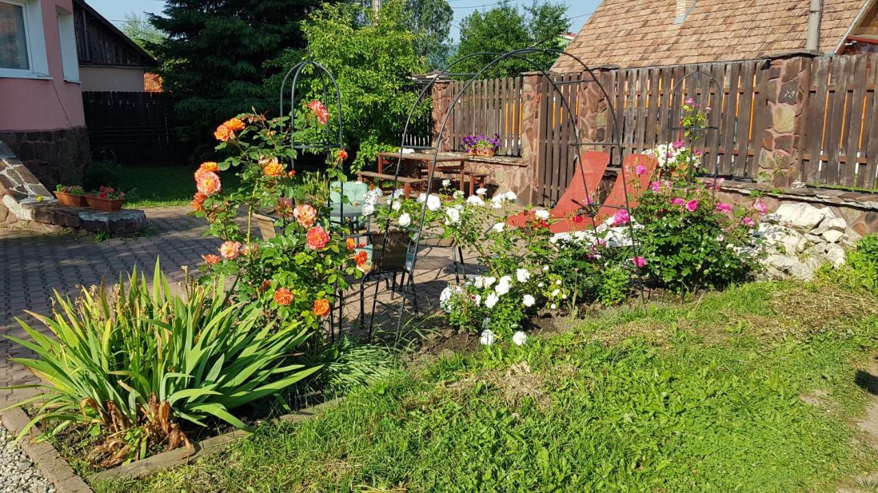 Apartment Lend In The Garden Miercurea Ciuc