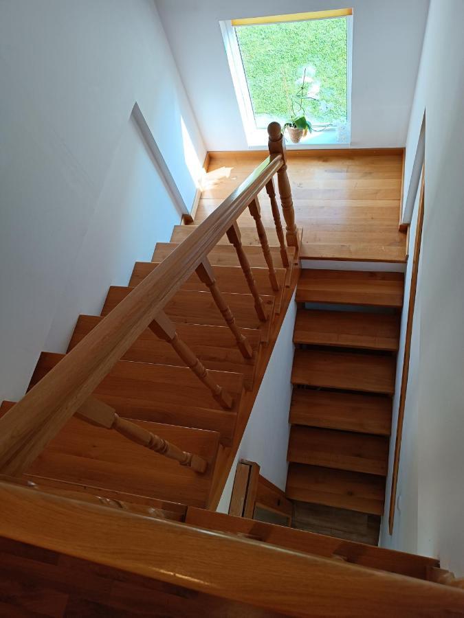Apartment Lend In The Garden Miercurea Ciuc